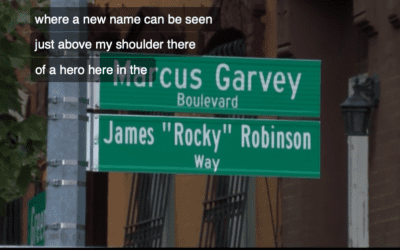 36th annual BSVAC block party renames street in honor of founder